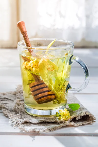 Fresh linden tea with honey — Stock Photo, Image