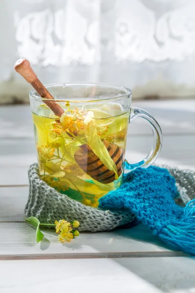 Healing tea with honey — Stock Photo, Image
