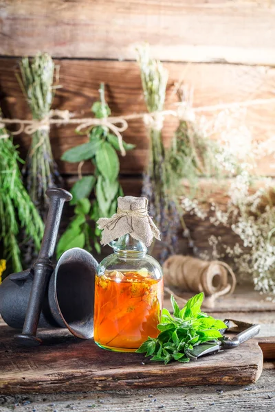 Therapeutic herbs in bottles as homemade cure — Stock Photo, Image