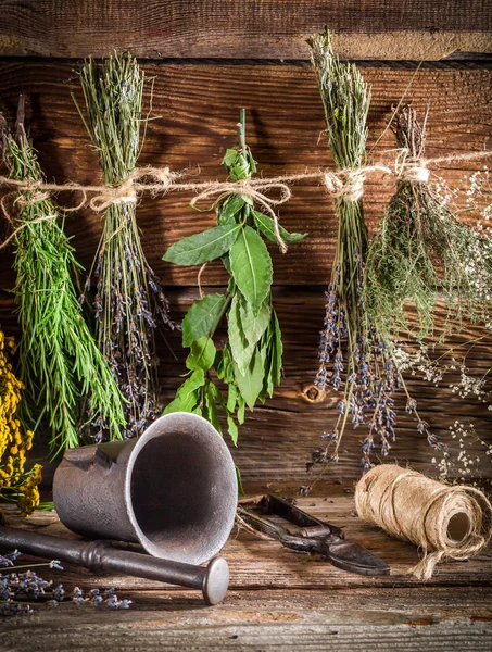 Лечебные травы для настойки в качестве природной медицины — стоковое фото