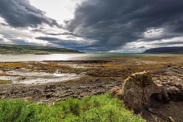 Costa nublada en Islandia — Foto de Stock