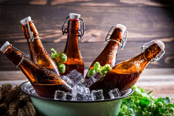 Cerveza de sidra fría y fresca —  Fotos de Stock