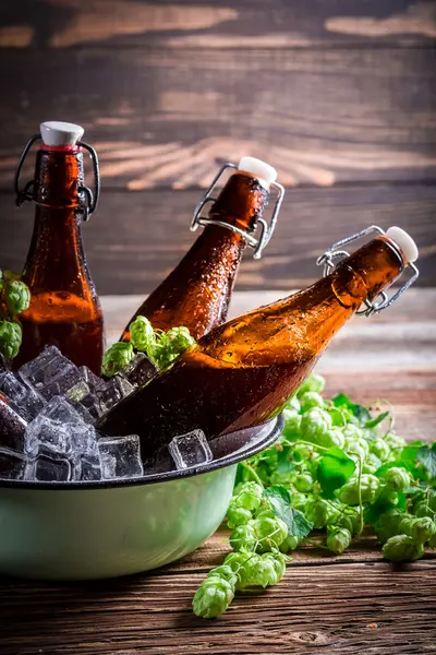 Cerveza fría y fresca —  Fotos de Stock
