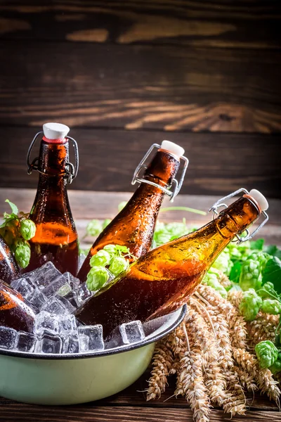 Cerveza de sidra fresca y fría —  Fotos de Stock