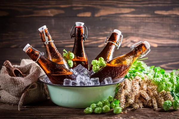 Cerveza fría y fresca sobre cubitos de hielo —  Fotos de Stock