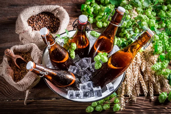 Cold and fresh cider beer in bowl with ice — Stock Photo, Image