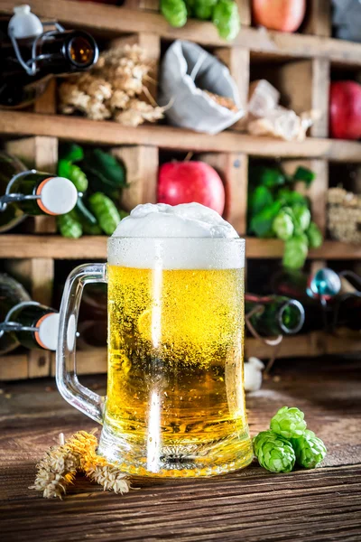 Cerveza de sidra fresca e ingredientes en bodega —  Fotos de Stock