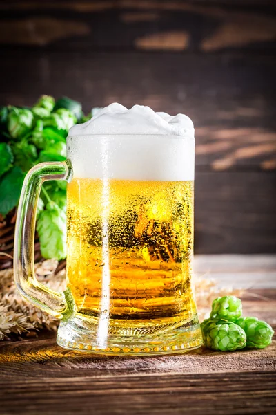 Холодное и свежее пиво — стоковое фото