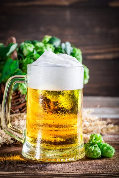 Cerveza fresca y fría — Foto de Stock