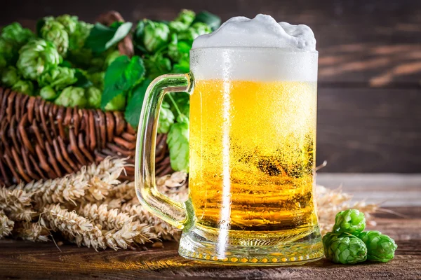 Cold and fresh beer in glass — Stock Photo, Image