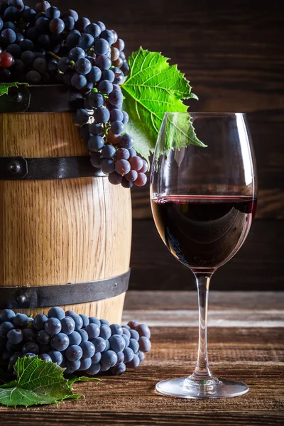 Vinho tinto fresco com uvas — Fotografia de Stock