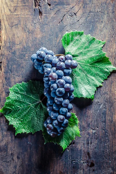 Red grapes with leaves on board — Stock Photo, Image