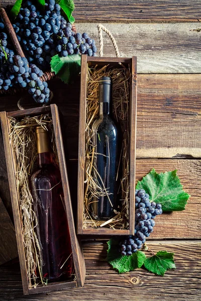 Färskt vin i flaska i trälåda — Stockfoto