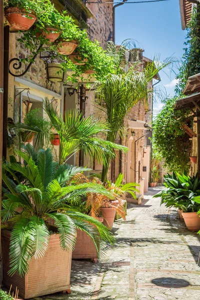 Maravillosa calle decorada en la pequeña ciudad de Italia, Umbría — Foto de Stock