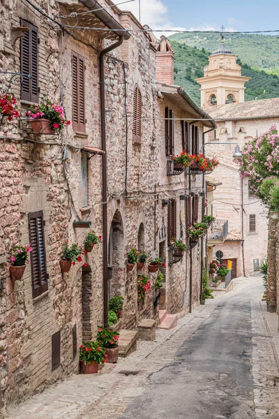 Piękny ganek urządzone w miasteczku we Włoszech w okresie letnim, Umbria — Zdjęcie stockowe