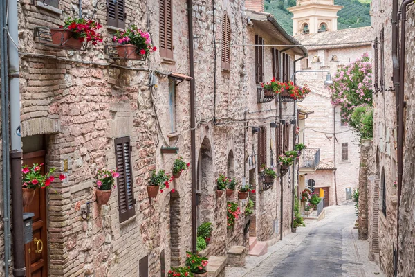 在意大利的小镇，在阳光明媚的日子，翁布里亚的精彩装饰的街 — 图库照片