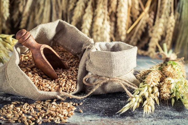 Ingredientes saludables para pan y bollos con varios granos —  Fotos de Stock