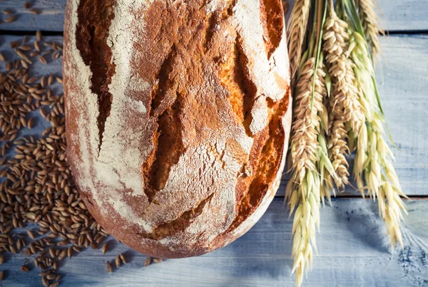 A teljes kiőrlésű gabonák, a reggeli egészséges kenyér — Stock Fotó