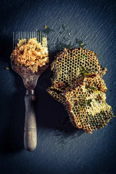 Antika biodlaren verktyg med honeycomb — Stockfoto
