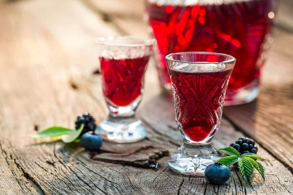 Berry meyve ve alkol ile taze likör — Stok fotoğraf