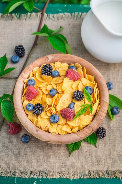Berry meyve ve süt ile tatlı mısır gevreği — Stok fotoğraf