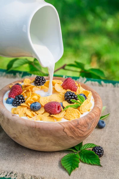 庭でミルクとベリーのフルーツと甘いコーンフレーク — ストック写真