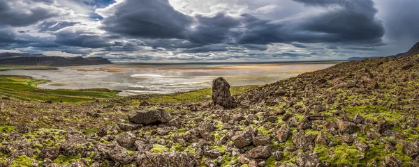 Panorama der felsigen Küste in Island — Stockfoto
