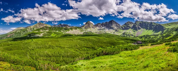 Panorama des Tatras depuis un sentier de montagne — Photo