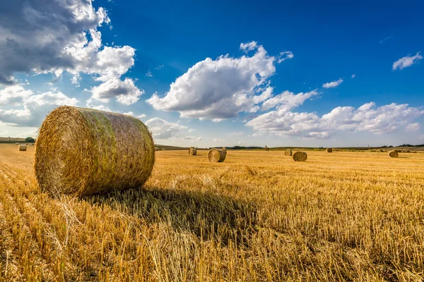 Beautiful sheaf of hay on the field at summer — Stock Photo, Image