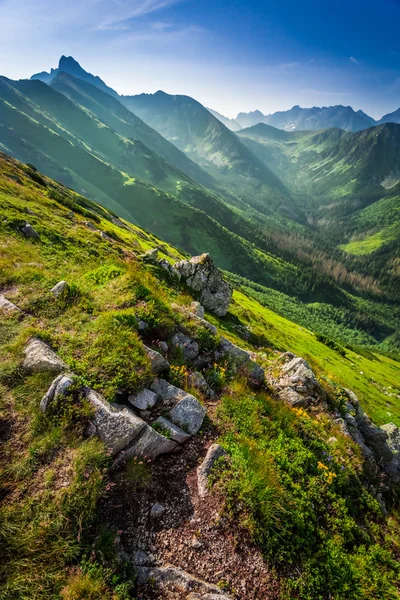 Aube dans les montagnes Tatra en été — Photo