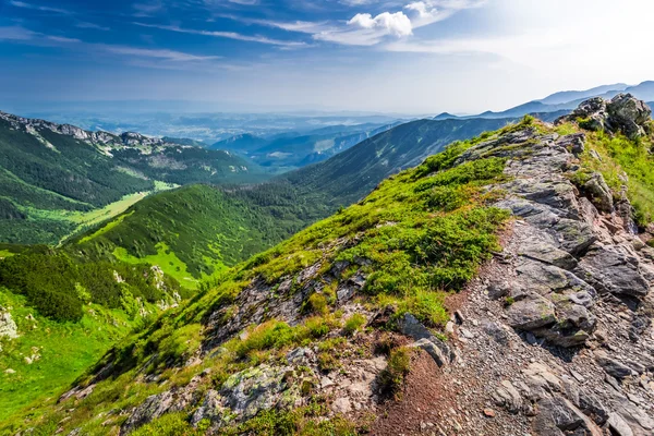 Wanderweg in den Bergen im Sommer — Stockfoto