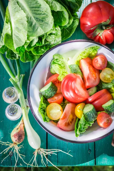 Ensalada vegetariana fresca en jardín soleado — Foto de Stock