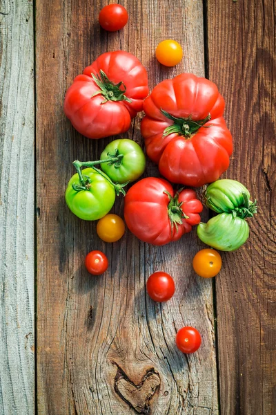 Зрізати помідори в сільській місцевості — стокове фото