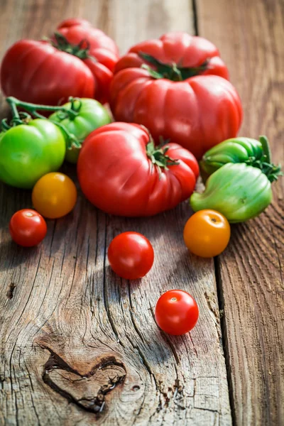 Fresh tomatoes in the countryside — Stock Photo, Image