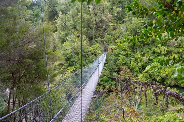 Ponte de corda na selva do Parque Nacional Abel Tasman em New Ze — Fotografia de Stock