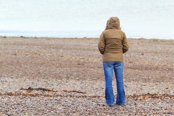 Solitario alla spiaggia fredda — Foto Stock