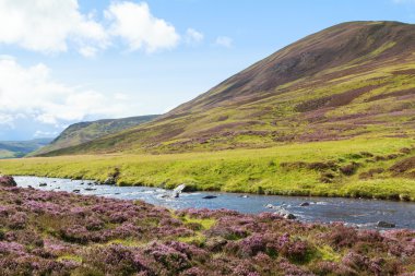 İskoç yayla kırsal manzara