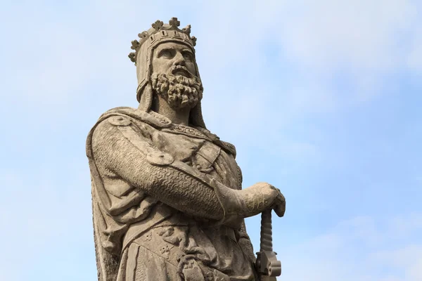 Robert the Bruce, King of Scots — Stock Photo, Image