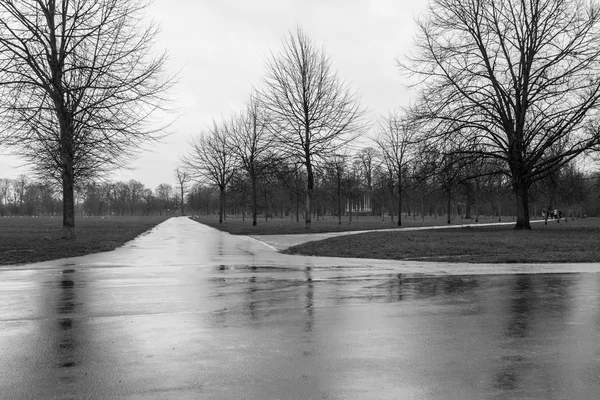 Rainy winter in Kensington Gardens — Stock Photo, Image