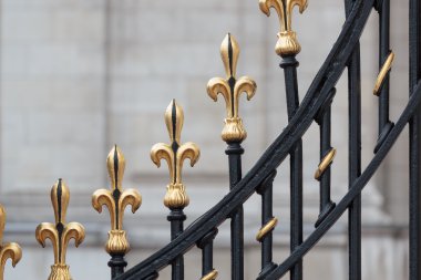 Buckingham Sarayı'nın kapısı'nın detay