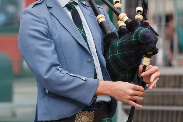 Flautista escocés parte superior del cuerpo Imágenes de stock libres de derechos