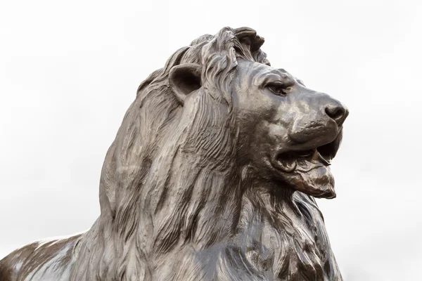 Escultura de leão de bronze na Trafalgar Square, Londres — Fotografia de Stock