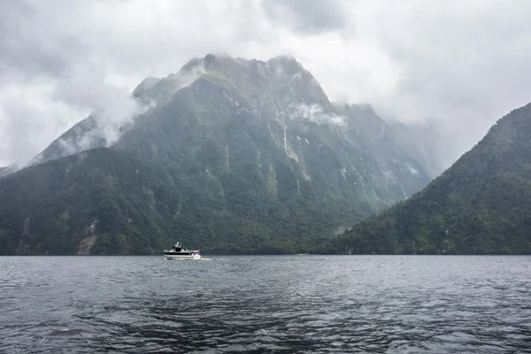 Een boot in Milford Sound — Stockfoto