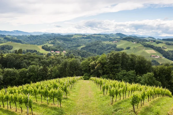 Südsteirische Landschaft — Stockfoto