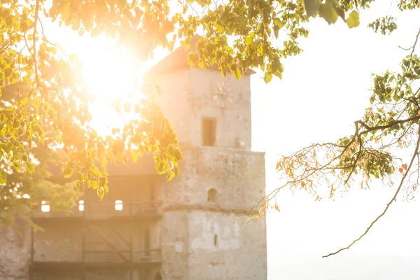 La torre del castillo de Trencin al atardecer detrás de las ramas — Foto de Stock