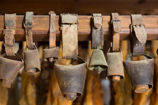 A collection of vintage bells — Stock Photo, Image