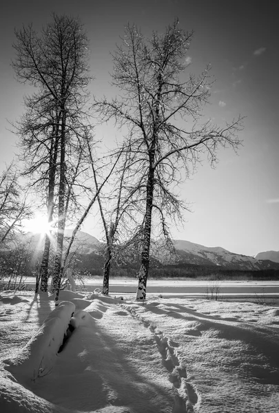 Puesta de sol de invierno — Foto de Stock