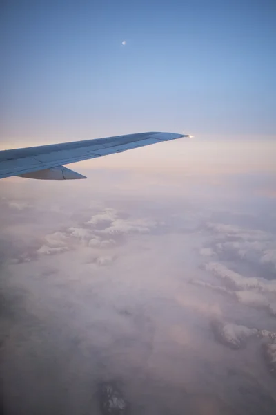 일출 비행 — 스톡 사진
