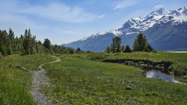 Sendero a pie en el sudeste de Alaska — Foto de Stock