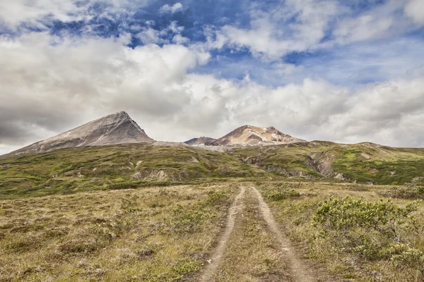 Camino en el desierto — Foto de Stock